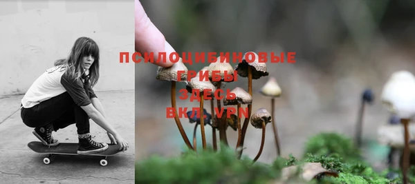 ешки Верхний Тагил