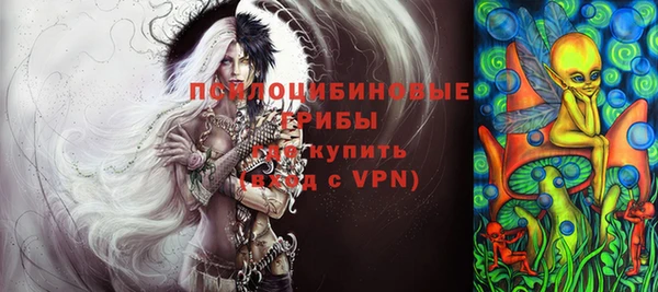 ешки Верхний Тагил