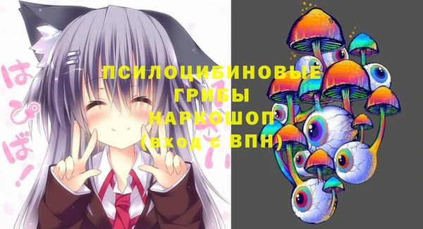 ешки Верея