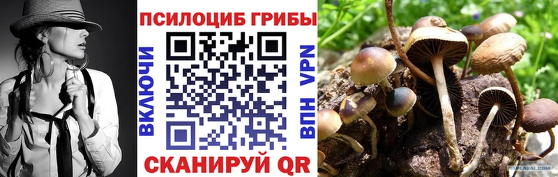 Псилоцибиновые грибы Psilocybe  Курск 